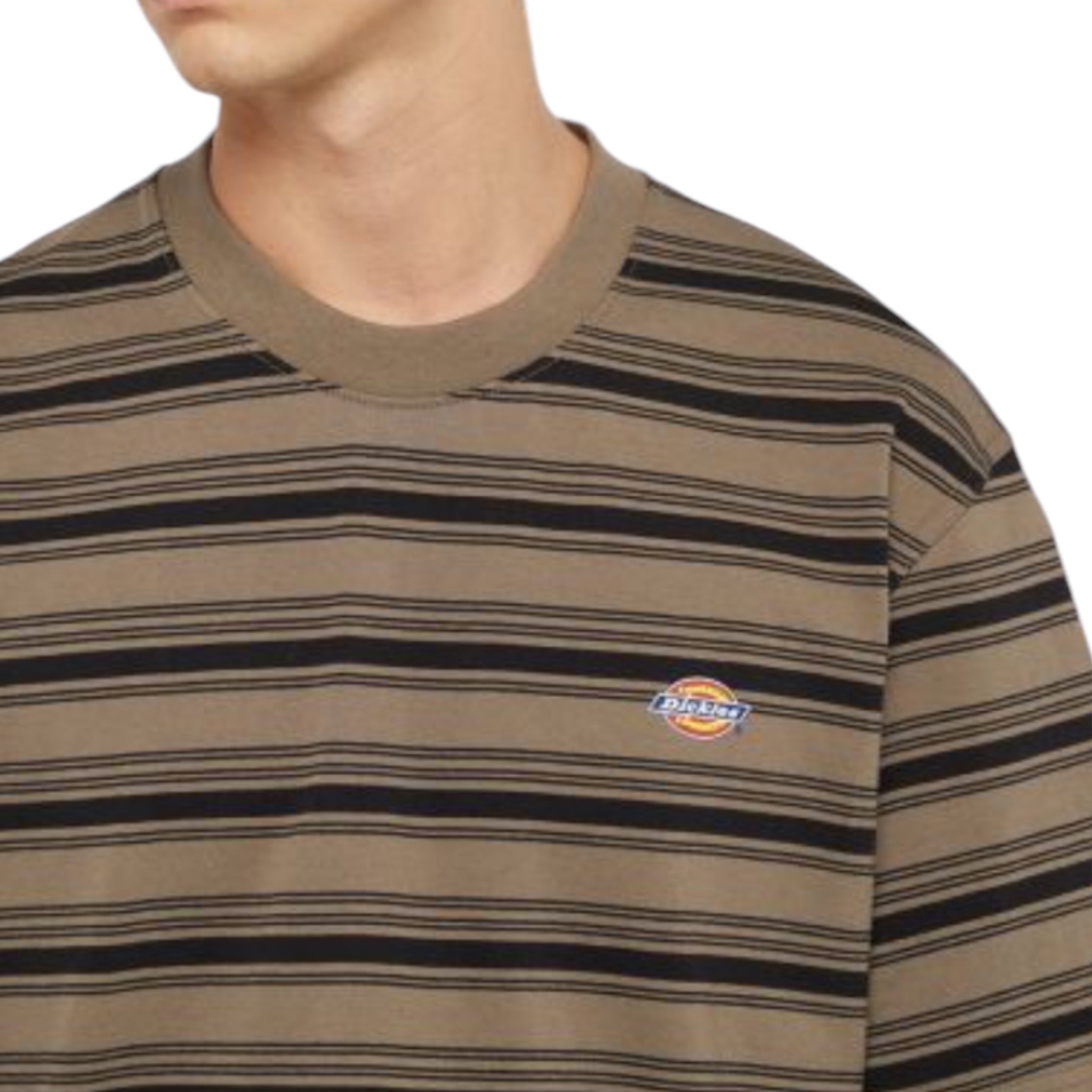 Dickies Stevensville Stripe T-shirt - Brown