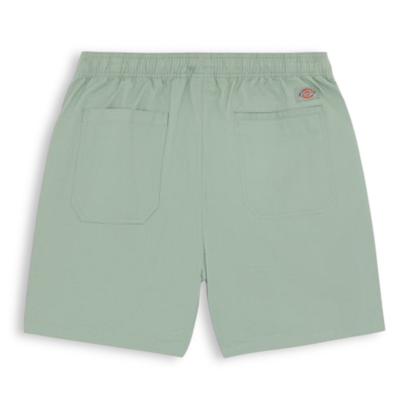 Dickies Pelican Rapids Shorts - Iceberg Green