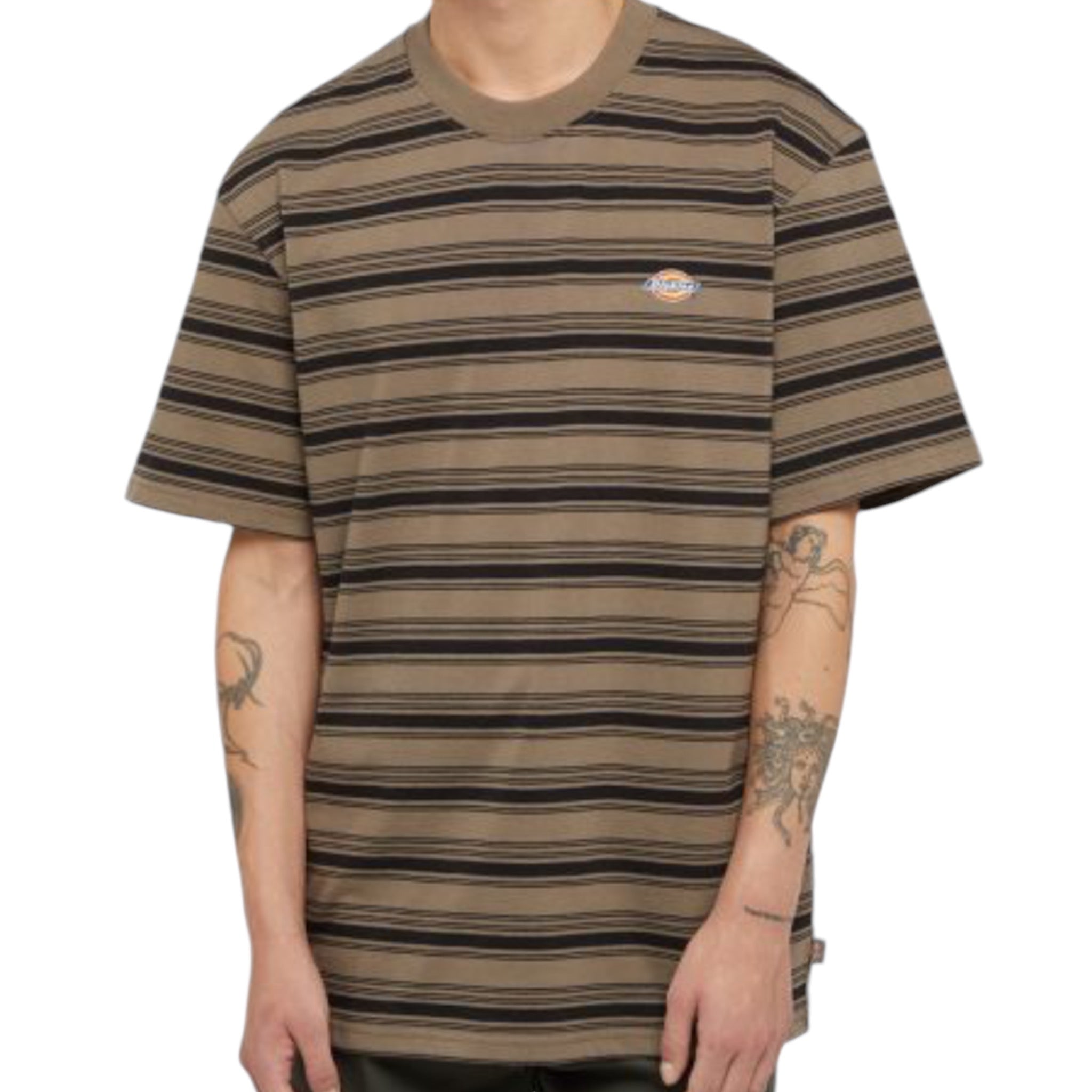 Dickies Stevensville Stripe T-shirt - Brown